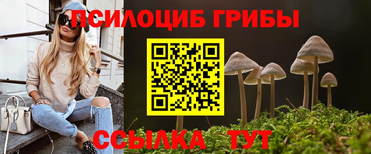 Галлюциногенные грибы мицелий Кропоткин
